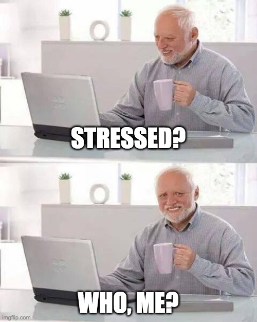 hide the pain harold